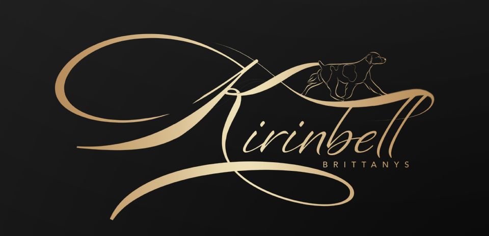 Kirinbell Brittany Kennel